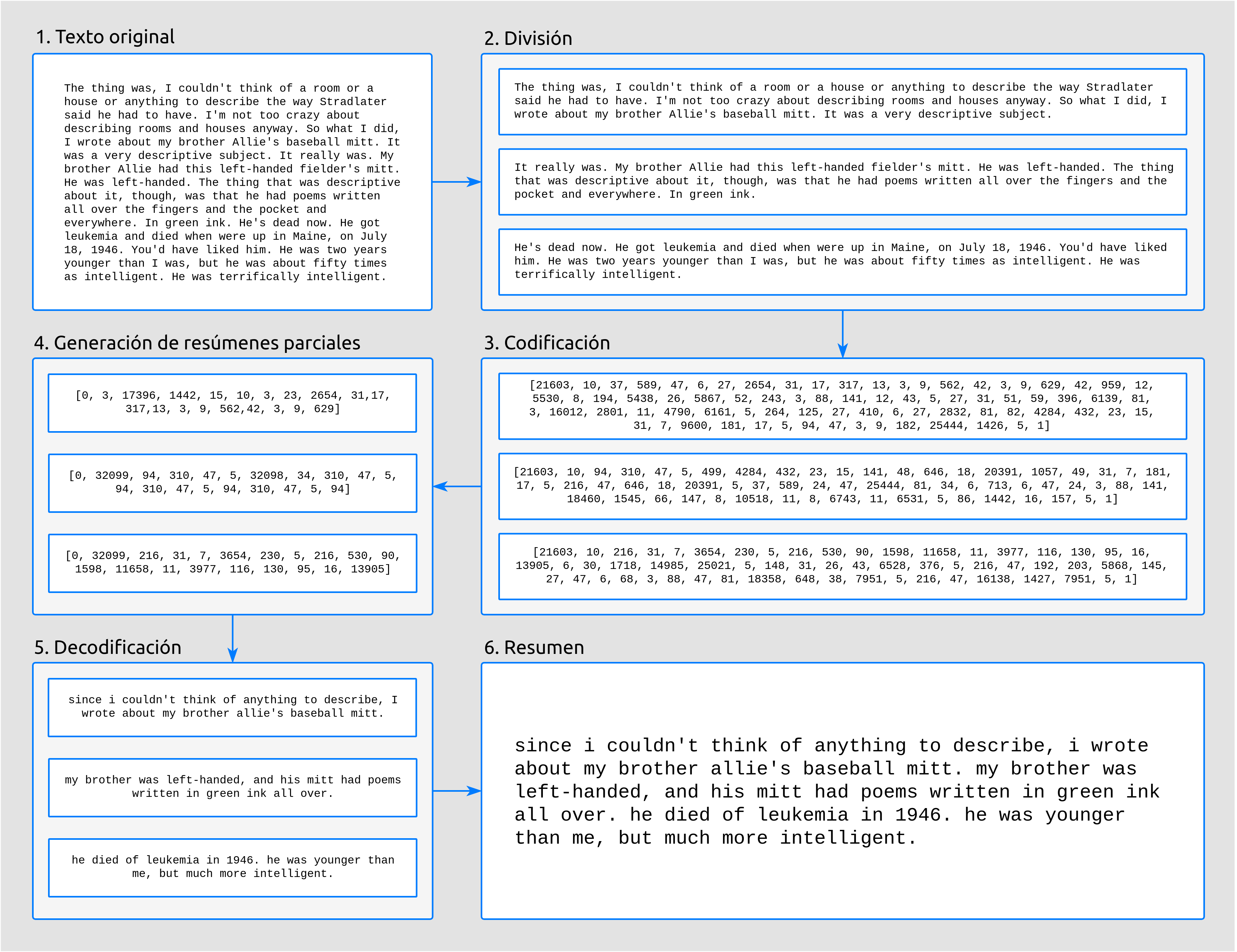 Proceso de generación de resúmenes, ilustrado con un fragmento del libro *The Catcher in the Rye*.